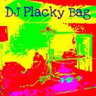 DJ Placky Bag Mobile Disco